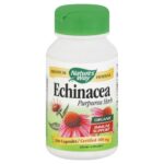 Diet & Nutrition-Nature’s Way Echinacea Purpurea Herb, 100 Capsules
