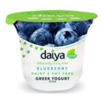 Special Diets-Daiya Greek Yogurt Alternative with Blueberries