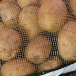 Fresh Produce-Potatoes, White Creamer Potatoes, Large, Costco