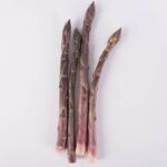 Asparagus-Purple-Standard-Isolated