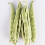 Beans-Romano-Green-Isolated