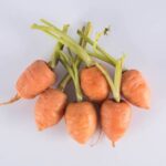 Carrot-Round-Baby-Isolated