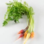 Carrots-Mixed-Petite-Isolated