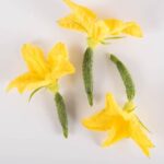 Cucumbers-Cuke-with-Bloom-Isolated
