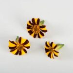 Edible-Flower-Marigold-French-Isolated