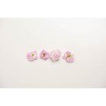 Edible-Flower-Mini-Cameo-Pink-Floret