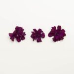 Edible-Flower-Mini-Floret-Plum