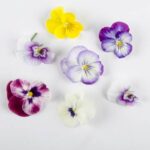 Edible-Flower-Viola-Mix