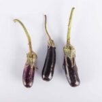 Eggplant-Hansel-Baby-Isolated