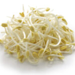 Fresh Produce-Bean Sprouts