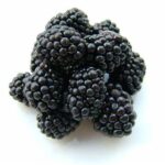 Fresh Produce-Blackberries – zarzamora