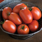 Fresh Produce-Tomatoes Roma-Conventional