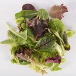 Greens-Ultra-Mesclun-Isolated