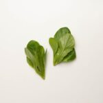 Lettuce-Romaine-Green-Ultra