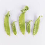 Peas-Snow-Green-Isolated