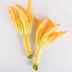 Squash-With-Bloom-Gold-Zucchini-Isolated