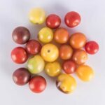 Tomatoes-Baby-Specialty-Mix