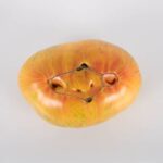 Tomatoes-Heirloom-Copia