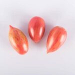 Tomatoes-Toybox-Pink-Tiger-Isolated