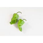 padron-peppers